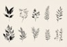 design a custom feminine, and botanical boho logo design