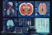 draw digital coloured anatomy and medical illustrations