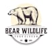 design an awesome bear logo