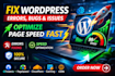 fix wordpress critical errors, fatal bugs, and CSS issues