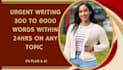 do urgent essay writing as an essay writer expert