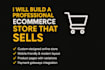 build a professional ecommerce store that sells