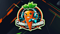 create high quality carrot logo with express delivery