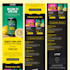 design shopify email newsletter design