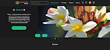 develop a modern responsive ecommerce website