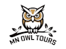 design a high quality owl logo