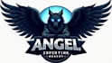 do black angel esport mascot logo design