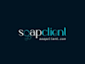 create an impressive soap logo and provide free vector files
