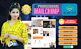 design mailchimp email template and newsletter