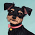 draw your lovely pet disney cartoon potrait