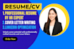 be resume designer and professional CV maker