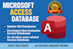 do your any ms access job , microsoft access database project