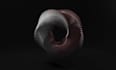 abstract animation motion graphics 2d animation loop visualizer abstract video