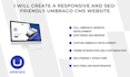 develop a professional umbraco website