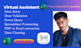 manage excel data entry datacleaning, formatting, pivot tables, or charts