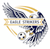 design beautiful eagle logo