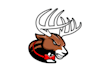 design outstanding car racing team logo