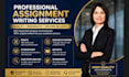write essay expert level as an professional essay writer