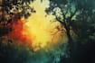 create your beautiful landscape illustration