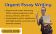 write a summary, analyze case study and essay writing