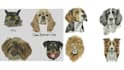 do pet embroidery digitizing perfectly in 3 hours emb,dst