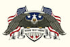 design modern awesome american eagle logo
