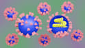 make scientific illustrations and animations in blender and canva