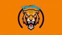 do angry tiger head mascot logo design