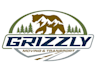 design unique bear logo