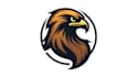 do awesome hawks head template hawk mascot logo