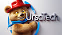 design an awesome bear mascot logo with express delivery