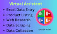 do manual data entry, data collection, and file conversion