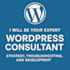 help you with your wordpress website