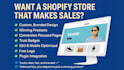 design ai branded shopify store shopify sales channel high ticket products