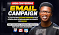 send targeted bulk email campaigns blast with high inbox delivery for businesses