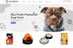 design pet website pet shopify store dog cat pet supplies store pet care website