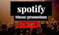 do professional organic spotify music promotion
