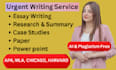 do urgent essay writing as an essay writer