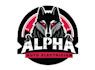 design excellent wolf logo with free source files
