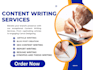 write SEO optimized articles, blog posts and website content