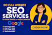 do full website SEO services to grow traffic and google ranking