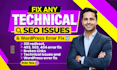 do 404 error fix, 301 redirect, technical issues and wordpress error fix
