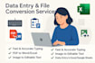 do data entry, images data to PDF, data extracting, pdf to excel job