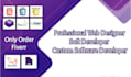 do web designer softener developer