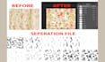 redraw and color separation for your screen printing