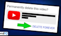 delete youtube channel, bad video that affect your reputation online, bad link