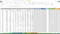 advanced excel data analysis, interactive dashboards, custom business solutions