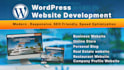 build a professional wordpress website for your busienss