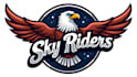 design realistic eagle mascot logo with creative concepts