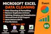 do excel data cleaning, data analysis, and data formatting